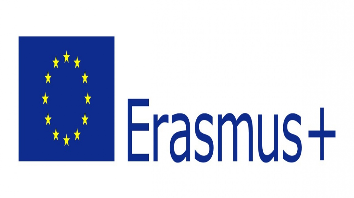 Erasmus Logosu